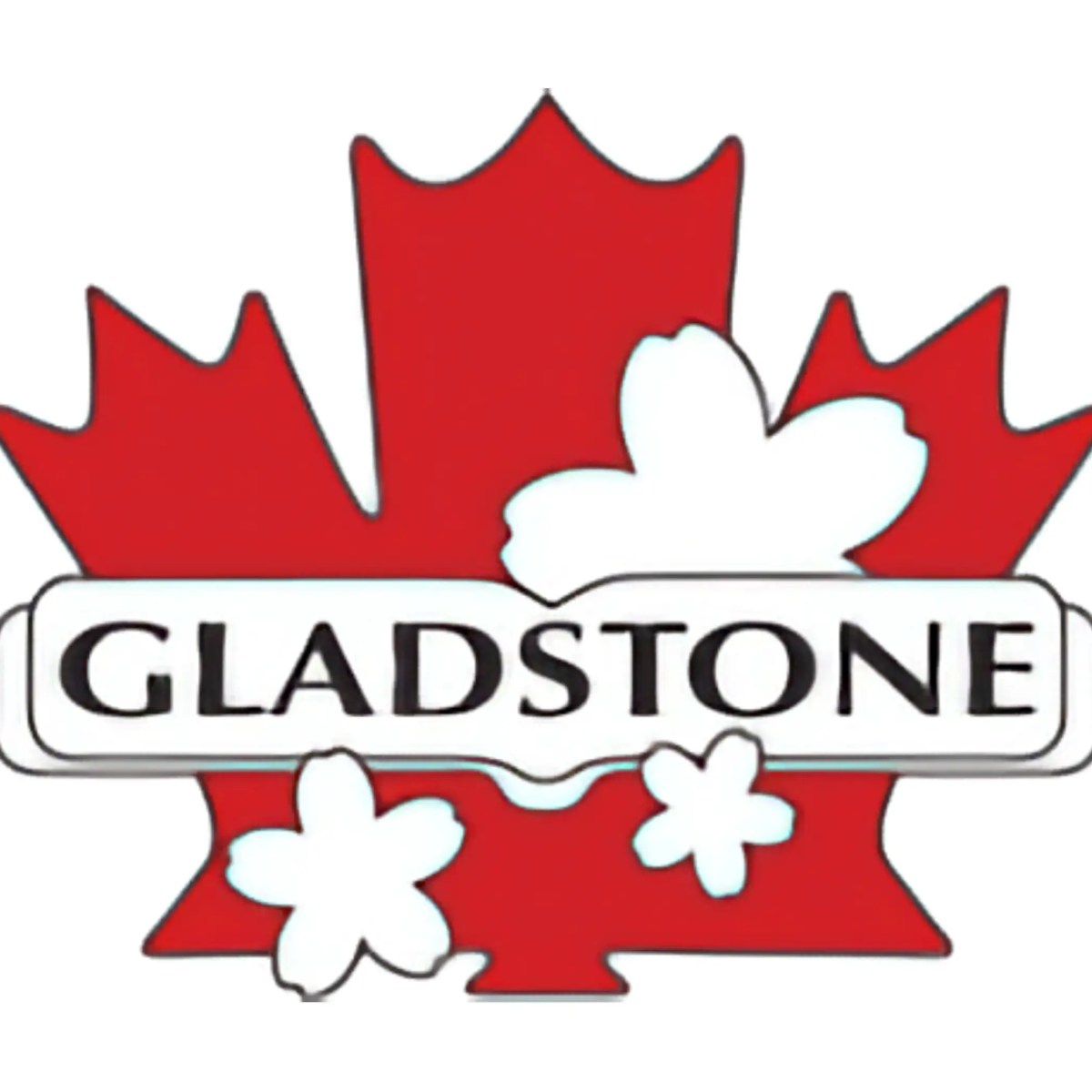 GJLS Summer School in July and&nbsp;August